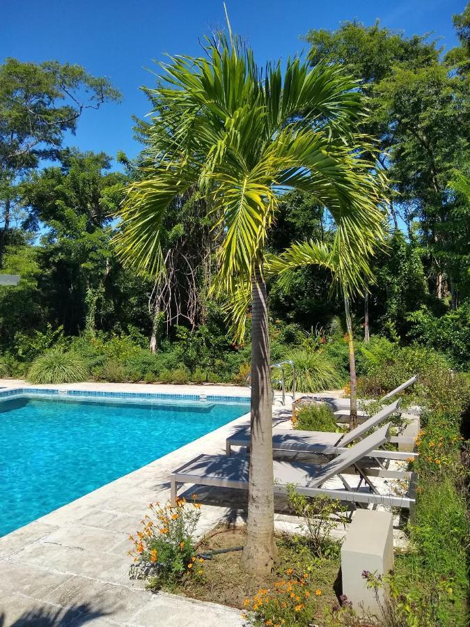 Palm Beach Inn プラヤ・グランデ エクステリア 写真