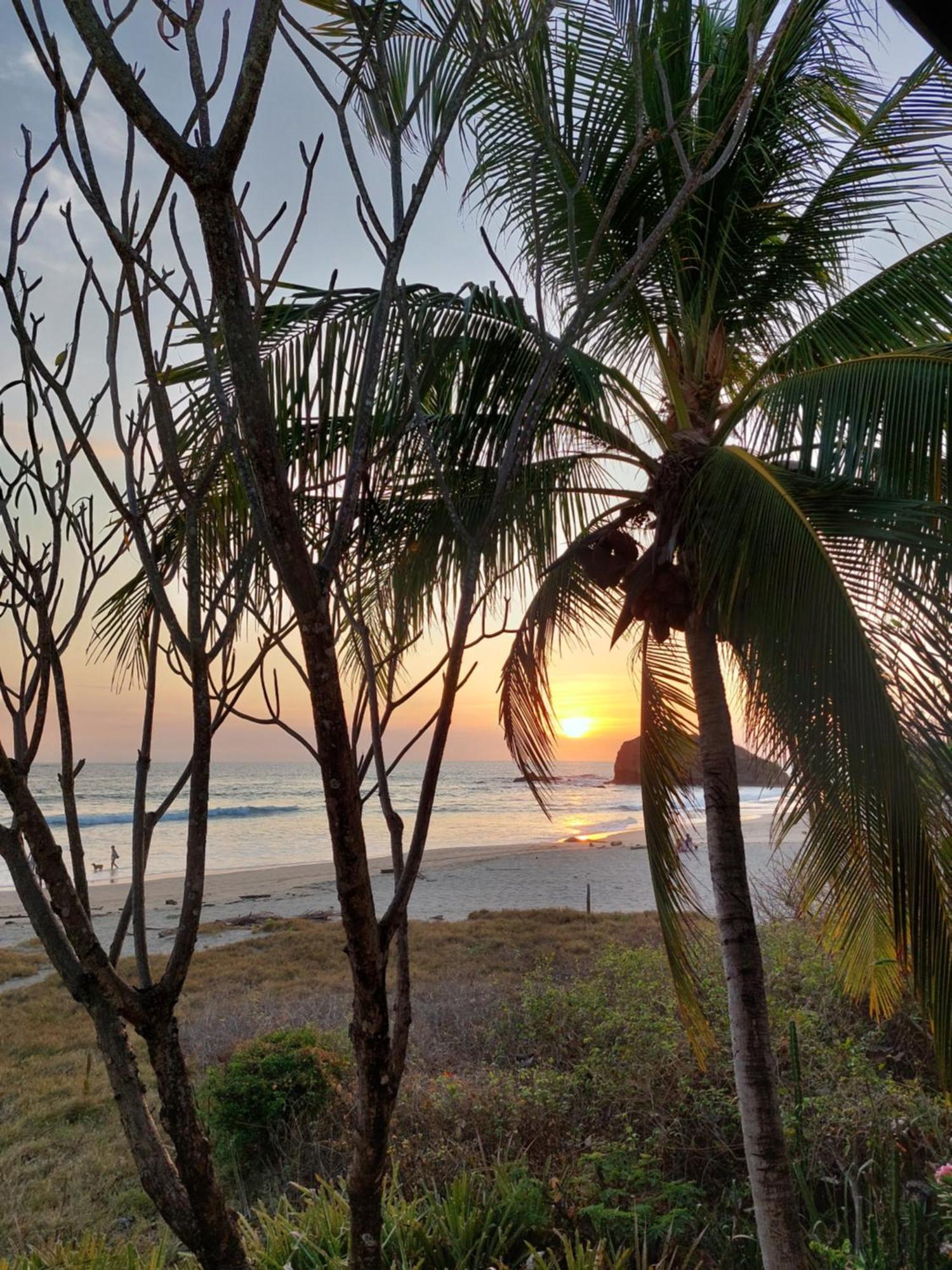 Palm Beach Inn プラヤ・グランデ エクステリア 写真